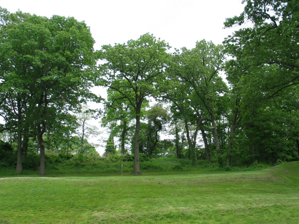 306-0607_IMG.JPG
